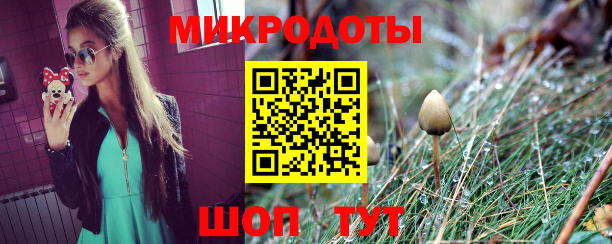 Белореченск  Псилоцибиновые грибы мицелий  Вход с VPN  Галлюциногенные грибы GOLDEN TEACHER 
