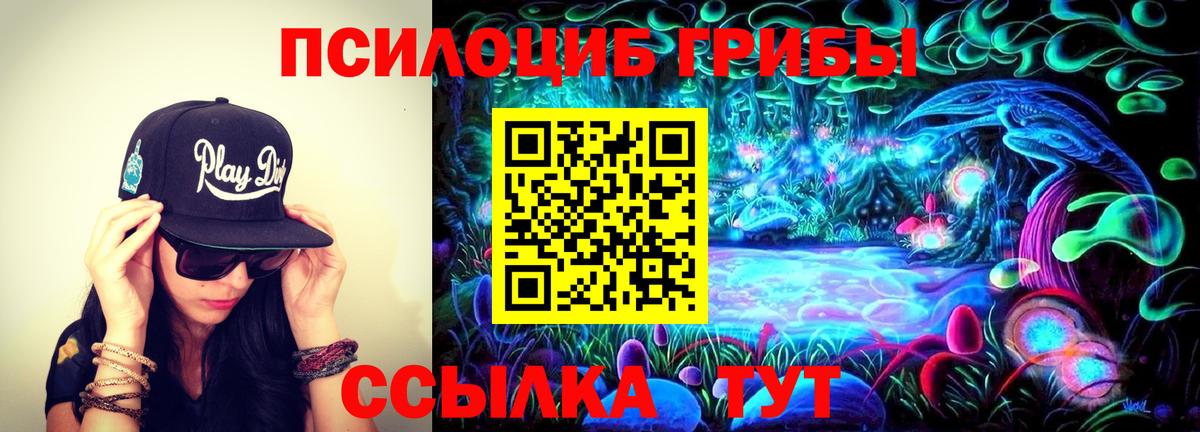 Псилоцибиновые грибы мицелий Белореченск